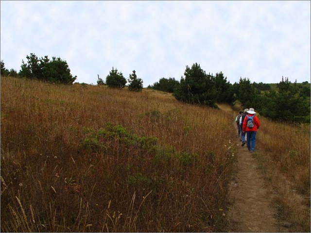 sm 090820.29.jpg - Typical trail section climbing up the hill.